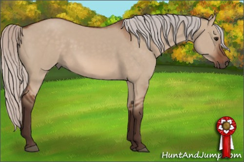 Horse Color: Silver Bay Dun 