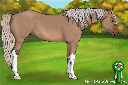 Horse Color: Silver Bay Dun 