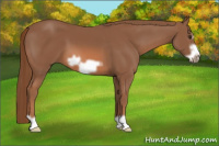 Horse Color:Chestnut Frame 