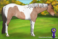 Horse Color:Bay Roan Tobiano