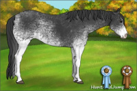 Horse Color:White Spotted Black