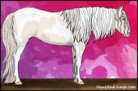 Horse Color:Cremello Dun Tobiano 