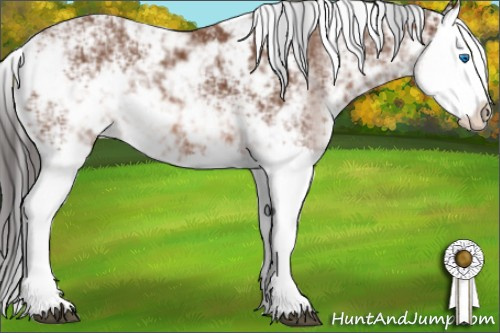 Horse Color: Bay Sabino Splash 