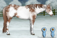 Horse Color:White Spotted Liver Chestnut Frame 