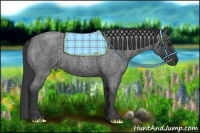 Horse Color:Blue Roan  Brindle