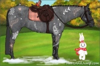 Horse Color:Blue Roan  Brindle