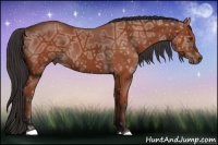 Horse Color:Bay Ice 