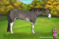 Horse Color:Brown Sabino