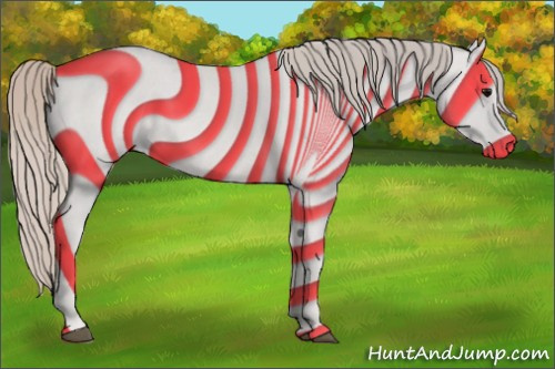 Horse Color: Silver Black 