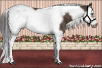 Horse Color:White Spotted Brown Splash Tobiano Frame