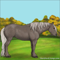 Horse Color:Silver Black 