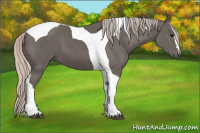 Horse Color:Silver Black Tobiano 