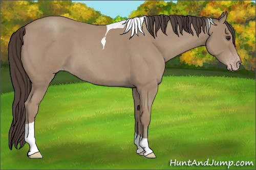 Horse Color: Classic Champagne Roan Tobiano 