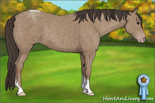 Horse Color: Classic Champagne Tobiano 
