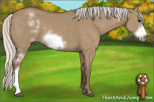 Horse Color: White Spotted Silver Buckskin Dun Frame 