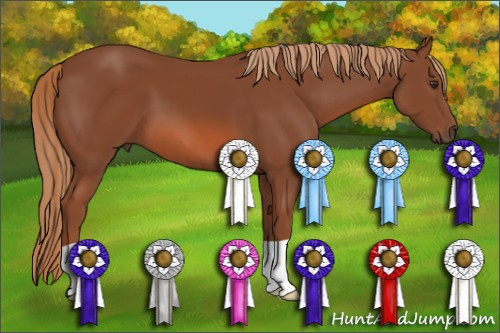 Horse Color: Liver Chestnut 