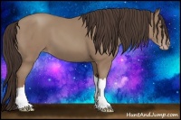 Horse Color:Classic Champagne 