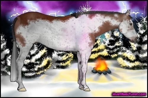 Horse Color:Gray Bay Splash Frame 