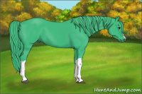 Horse Color:Watercolor Black 