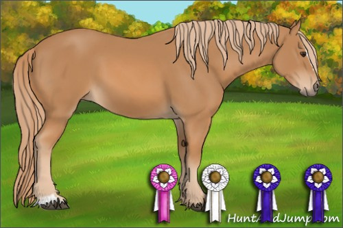 Horse Color: Chestnut Sabino 