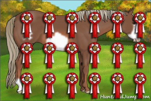 Horse Color: Liver Chestnut Mushroom Frame 