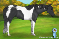 Horse Color:Black Tobiano 
