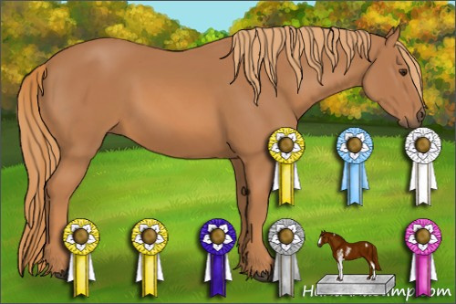Horse Color: Chestnut Sabino 