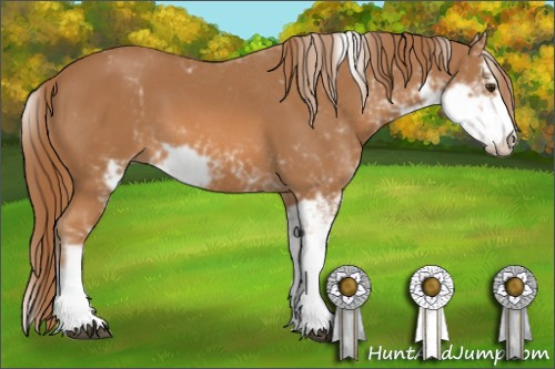 Horse Color: Chestnut Sabino 