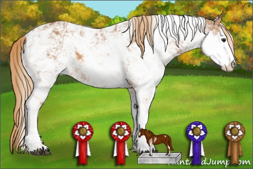 Horse Color: Chestnut Sabino 