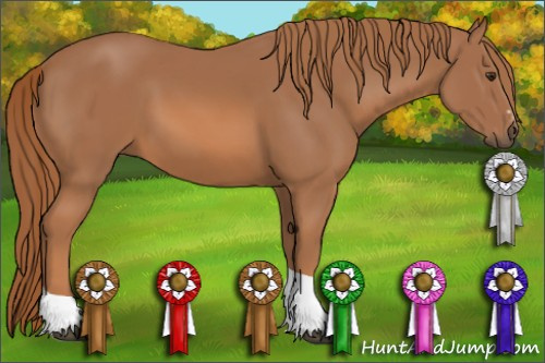 Horse Color: Chestnut Sabino Tobiano 