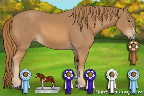 Horse Color: Chestnut Sabino 