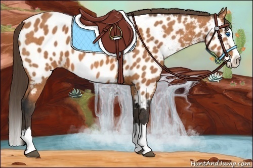Horse Color:Bay Sabino Splash Near Leopard Brindle