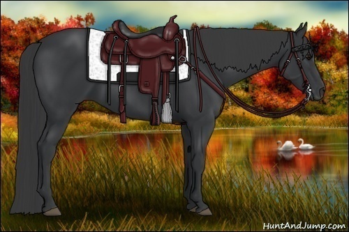 Horse Color:Black Sabino 