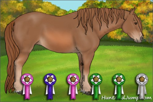 Horse Color: Chestnut Sabino 