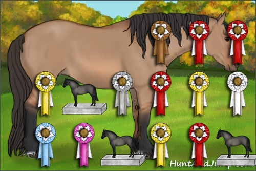 Horse Color: Bay Dun Sabino Rabicano 
