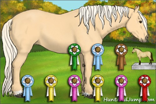 Horse Color: Palomino Sabino 