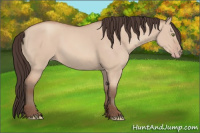 Horse Color:Amber Champagne Dun Sabino