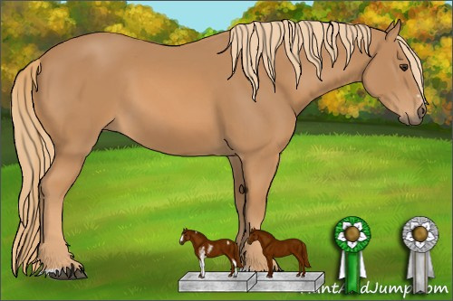 Horse Color: Chestnut Sabino 