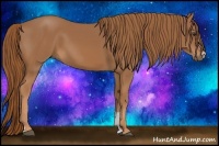 Horse Color:Chestnut Sabino 