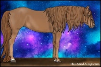 Horse Color:Chestnut Sabino
