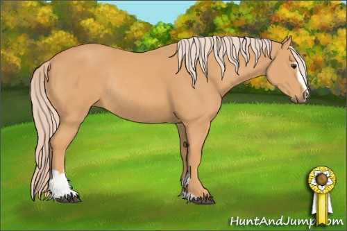 Horse Color: Chocolate Palomino Mushroom Sabino Rabicano 