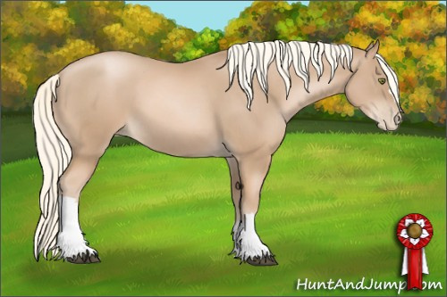 Horse Color: Liver Chestnut Pearl Mushroom 