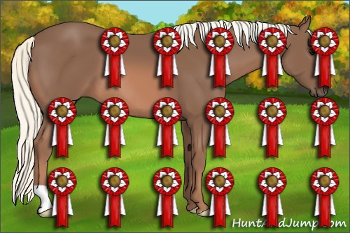 Horse Color: Liver Chestnut Mushroom 
