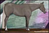Horse Color:Silver Blue Roan Sabino 
