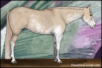 Horse Color:Red Dun Sabino 