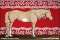 Horse Color:Red Dun Sabino Splash Frame Rabicano 