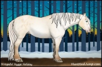 Horse Color:Gray Silver Amber Cream Champagne Roan Dun Sabino Splash Frame Blanket Rabicano
