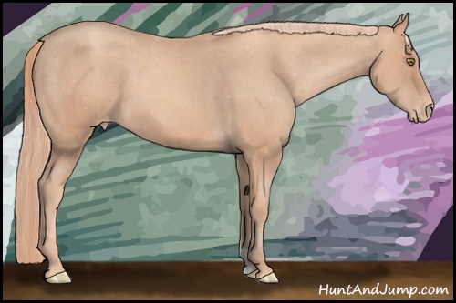 Horse Color: Gold Champagne Varnish 