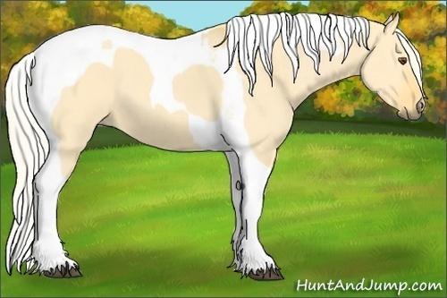 Horse Color: Palomino Dun Tobiano 
