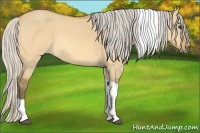 Horse Color:Silver Buckskin Dun Tobiano 